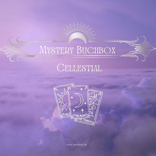 Mystery Buchbox