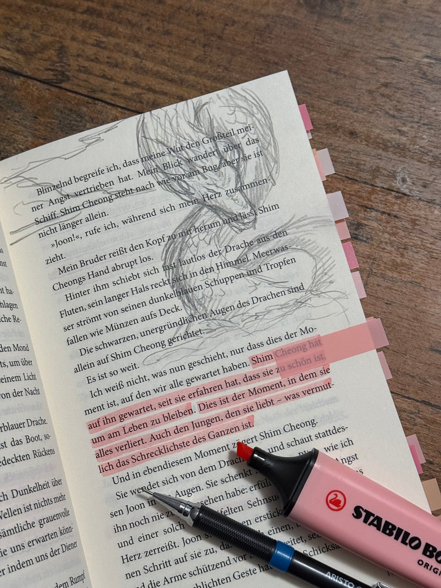Bücher mit Illustrationen - Benutzerdefinierte kommentierte Bücher